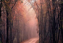 曼城主帅战术新颖，助球队赢得比赛，解析绿茵场上的“智慧博弈”