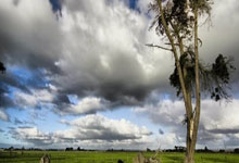 伊斯坦布尔的决心，尼斯的前路：法甲争冠的烽火已燃