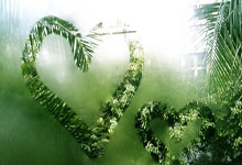 曼城主帅战术新颖，助球队赢得比赛，解析绿茵场上的“智慧博弈”