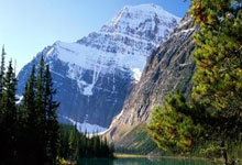 曼城主帅战术新颖，助球队赢得比赛，解析绿茵场上的“智慧博弈”