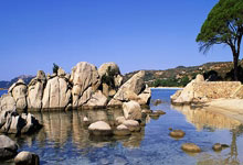 伊斯坦布尔的决心，尼斯的前路：法甲争冠的烽火已燃