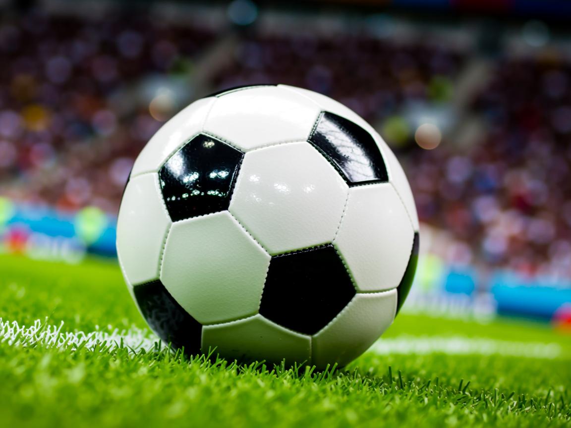 爱游戏体育入口-奥运备战目标明确全力冲刺，调整完善奥运备战方案  第3张