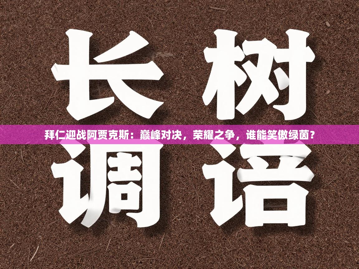 拜仁迎战阿贾克斯:巅峰对决,荣耀之争,谁能笑傲绿茵? 第1张
